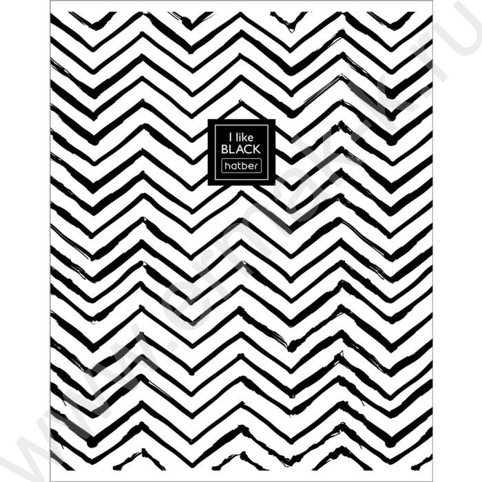 Тетрадь  48л клетка "I Like Black" /мат.лам /5видов | Фото 2