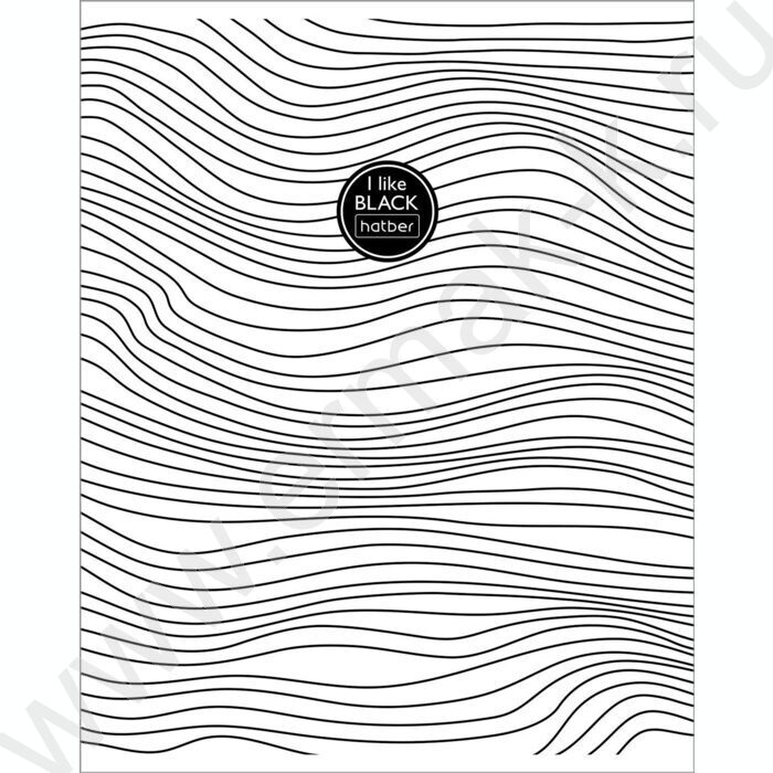 Тетрадь  48л клетка "I Like Black" /мат.лам /5видов | Фото 5