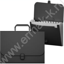 Портфель 12отд. Matt Classic чёрный | Фото 1