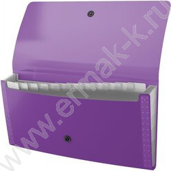 Папка картотека 13отд. Diagonal Vivid, Check size, ассорти | Фото 5