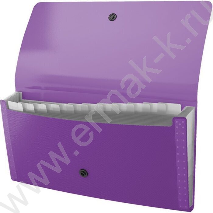 Папка картотека 13отд. Diagonal Vivid, Check size, ассорти | Фото 5