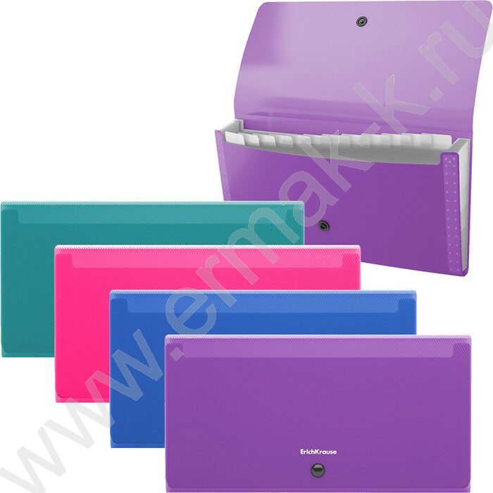 Папка картотека 13отд. Diagonal Vivid, Check size, ассорти | Фото 6