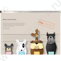 Папка-конверт на молнии А4 Zip "Fly forever" | Фото 1