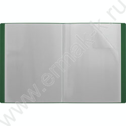 Папка  10 файлов Matt Classic /зеленая | Фото 2