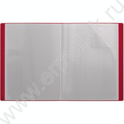 Папка  10 файлов Matt Classic /красная | Фото 2