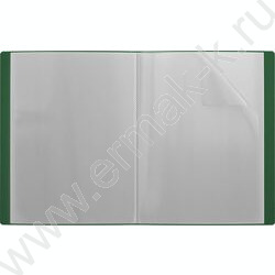 Папка  20 файлов Matt Classic /зеленая | Фото 2