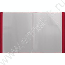 Папка  20 файлов Matt Classic /красная | Фото 2