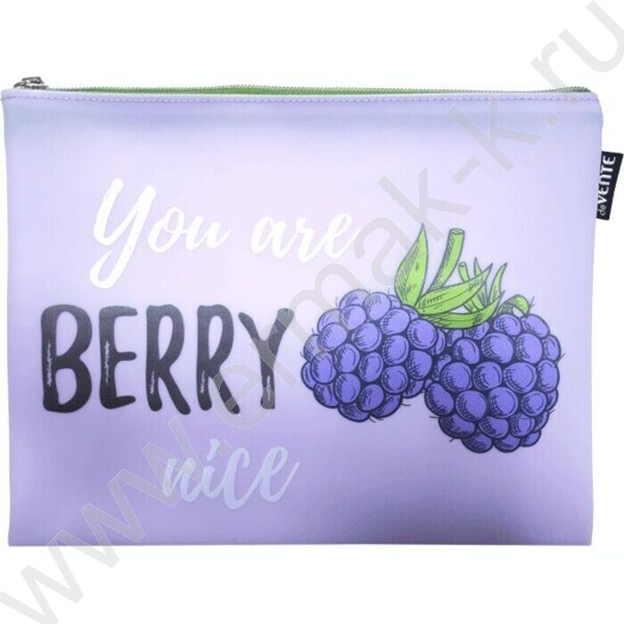 Папка д/тетрадей A5 24x20см "Tutti-Frutti. Blackberry" силикон, на молнии | Фото 1