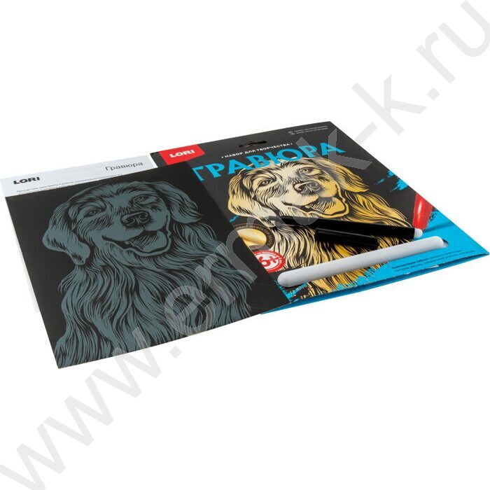 Набор д/творчества Гравюра большая Золотистый ретривер | Фото 2