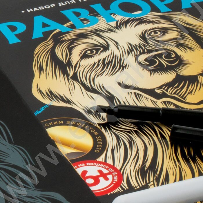 Набор д/творчества Гравюра большая Золотистый ретривер | Фото 3
