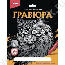 Набор д/творчества Гравюра большая Мейн-кун | Фото 2