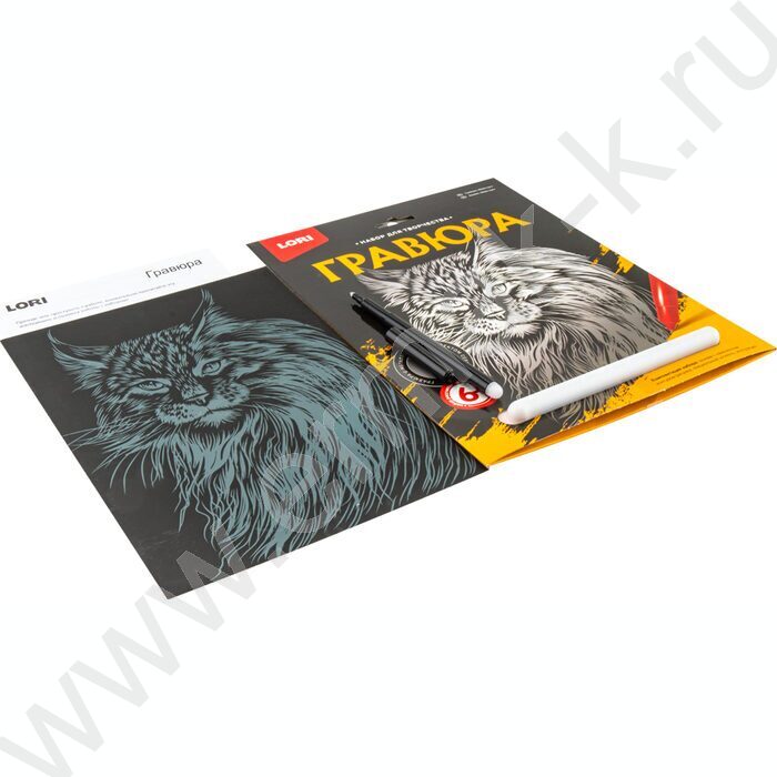 Набор д/творчества Гравюра большая Мейн-кун | Фото 3