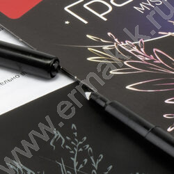 Набор д/творчества Гравюра малая Красивый суккулент | Фото 5