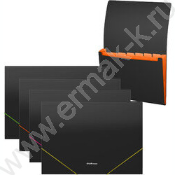 Папка картотека  7отд. Matt Accent, A4, ассорти | Фото 1