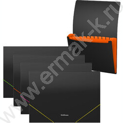 Папка картотека 12отд. Matt Accent ассорти | Фото 1