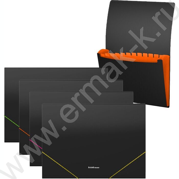 Папка картотека 12отд. Matt Accent ассорти | Фото 1