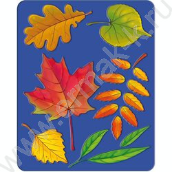 Трафарет "Листья деревьев" | Фото 1