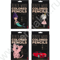 Карандаши пластиковые 18цв BlackWoodColor 4вида | Фото 1