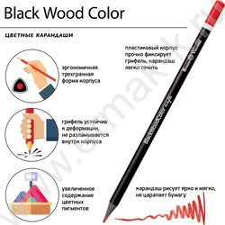 Карандаши пластиковые 18цв BlackWoodColor 4вида | Фото 8