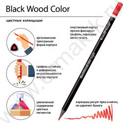 Карандаши пластиковые 24цв BlackWoodColor 4вида | Фото 7