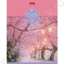 Тетрадь  80л линейка "Colour" | Фото 2