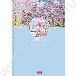 Тетрадь  96л А4 клетка/спираль "Красота цветения" 4вида | Фото 3