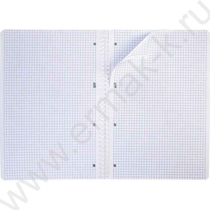 Тетрадь  96л А4 клетка/спираль "Красота цветения" 4вида | Фото 5