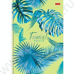 Тетрадь  96л А4 клетка/спираль "Тропические листья" 4вида | Фото 4