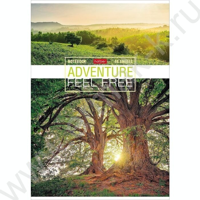 Тетрадь  48л А4 клетка "Путешествие" ассорти | Фото 3