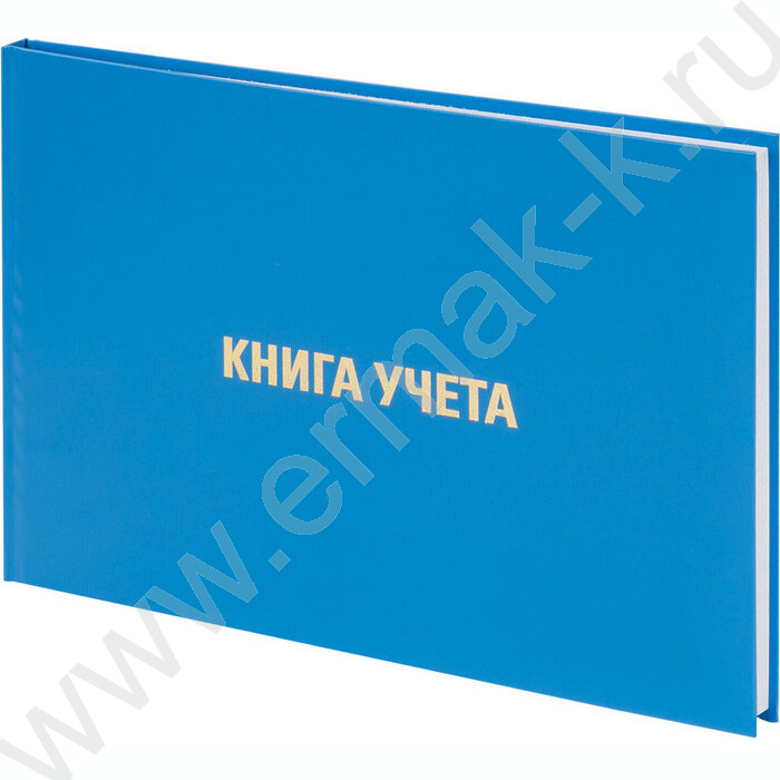 Книга Учёта  96 л. А4 (210х295 мм) клетка, альбомный, бумвинил, блок офсет  | Фото 1