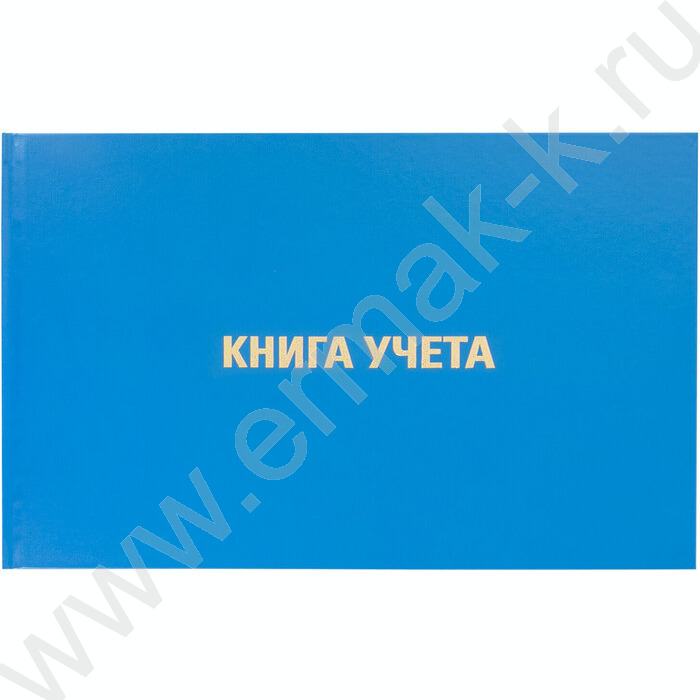 Книга Учёта  96 л. А4 (210х295 мм) клетка, альбомный, бумвинил, блок офсет  | Фото 2