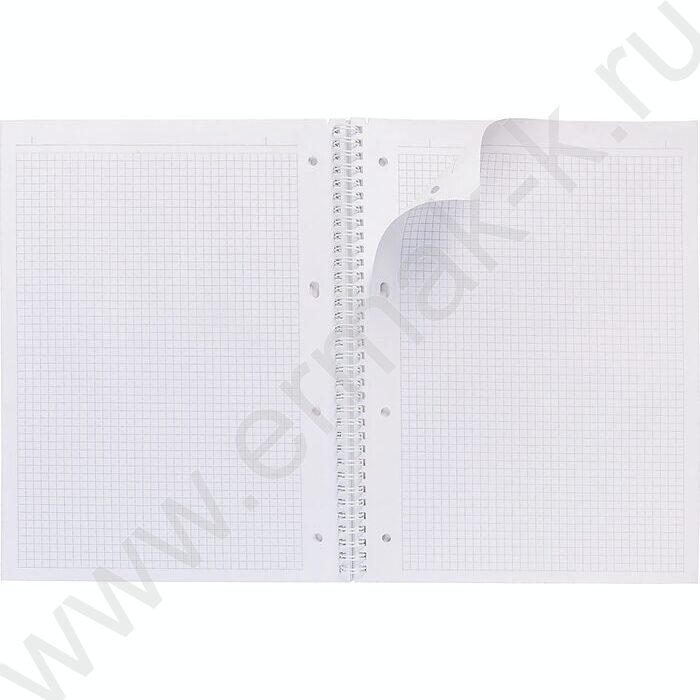 Тетрадь  80л А4 клетка/спираль/многоуров.перфорация "NEWtone PASTEL Оранж" | Фото 2