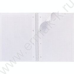 Тетрадь  80л А4 клетка/спираль/многоуров.перфорация "NEWtone PASTEL Пион" | Фото 2