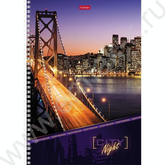 Тетрадь  96л А4 клетка/спираль "Ночной город" /лак/ | Фото 1