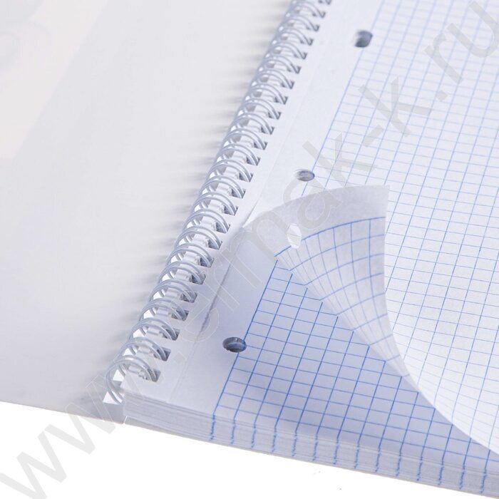 Тетрадь  96л А4 клетка/спираль "Ночной город" /лак/ | Фото 6