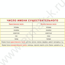 Карточка-шпаргалка Число имени существительного | Фото 1
