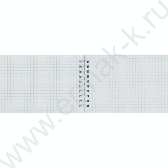Блокнот  60л А6 спираль "д/Конференций" черный | Фото 3