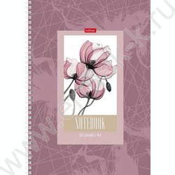Тетрадь  80л А4 клетка/спираль "Нежность цветка" мат.лам. | Фото 3