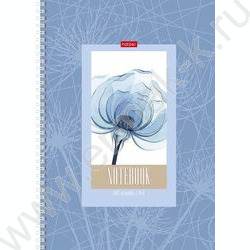 Тетрадь  80л А4 клетка/спираль "Нежность цветка" мат.лам. | Фото 4