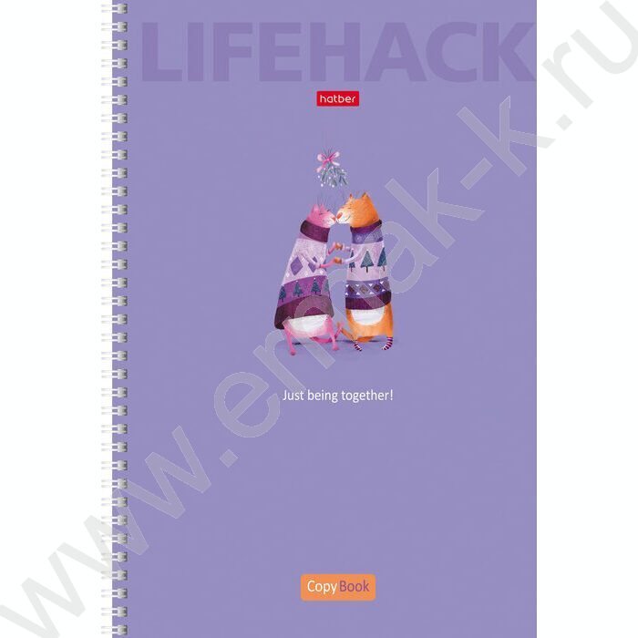 Тетрадь  96л А4 клетка/спираль "Смекалки" 4вида | Фото 4