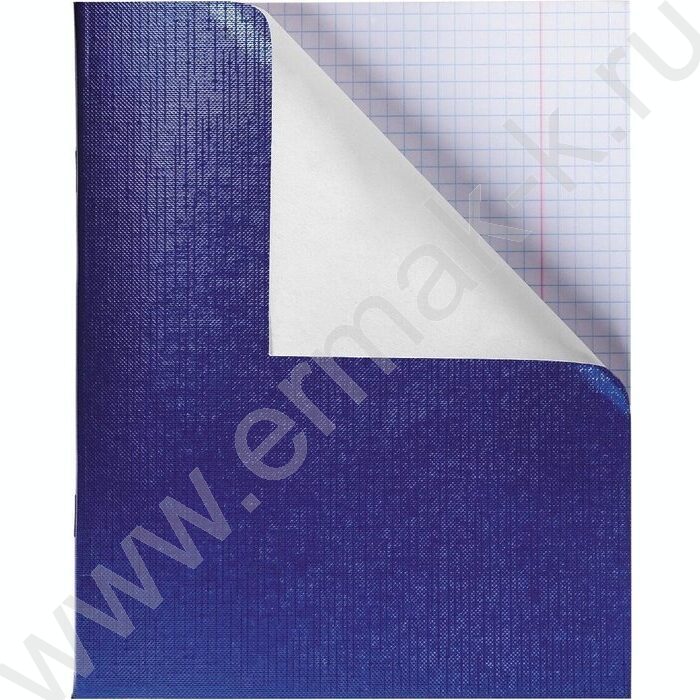 Тетрадь  48л клетка "Бум/винил" METALLIC синяя | Фото 2