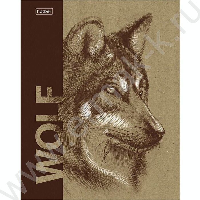 Тетрадь  80л клетка "Дикие животные" /крафт /5видов | Фото 3