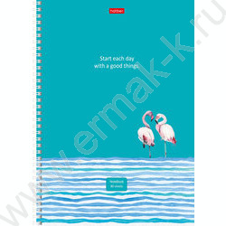 Тетрадь  80л А4 линейка/спираль "Ассорти" 4вида | Фото 1