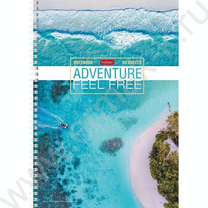 Тетрадь  80л А4 линейка/спираль "Ассорти" 4вида | Фото 2