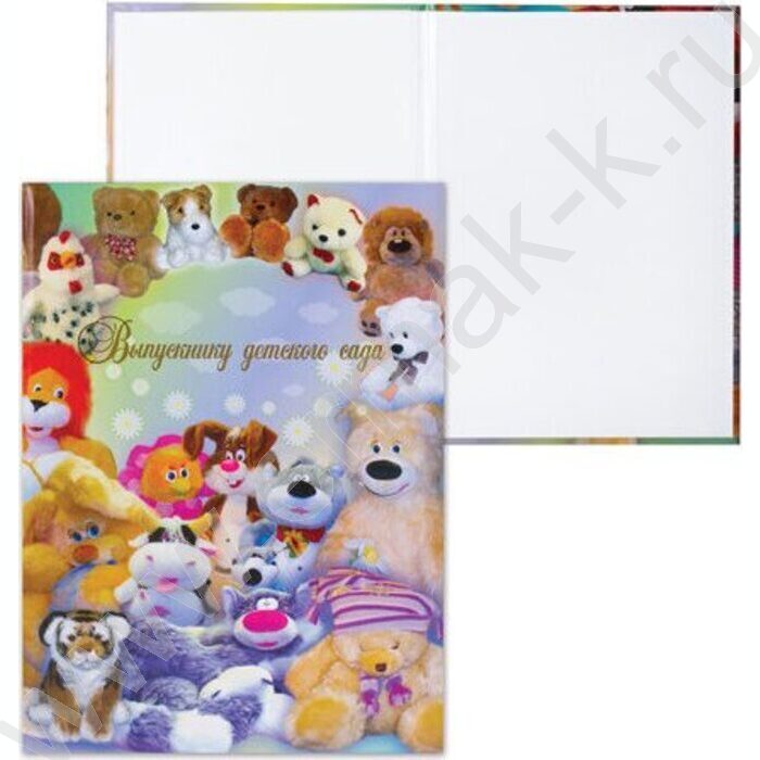 Папка адресная "Выпускнику детского сада" Игрушки + 3 файла | Фото 2