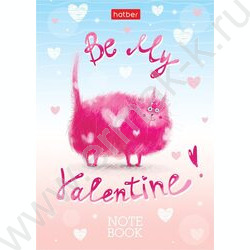 Зап. книжка  24л А6 "Котики бывают разными" линейка | Фото 1