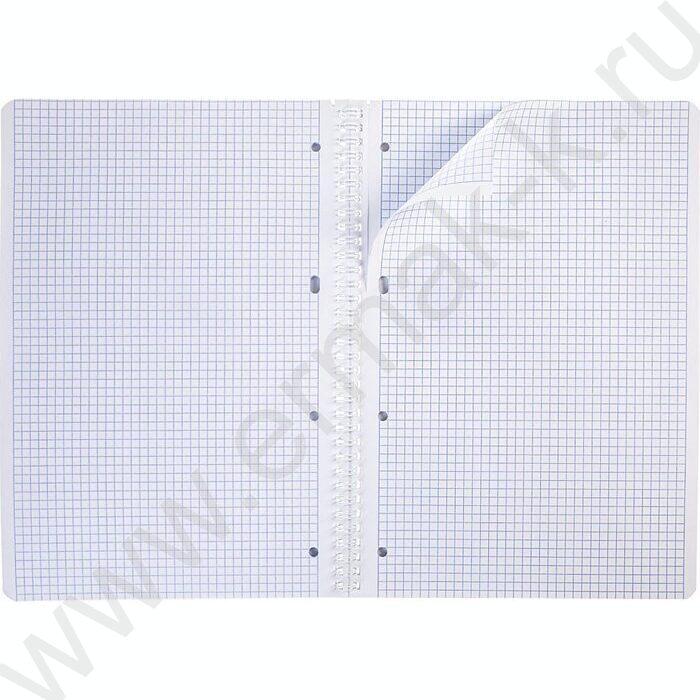 Тетрадь  96л А4 клетка/спираль "В ярком цвете" тиснение ассорти | Фото 5