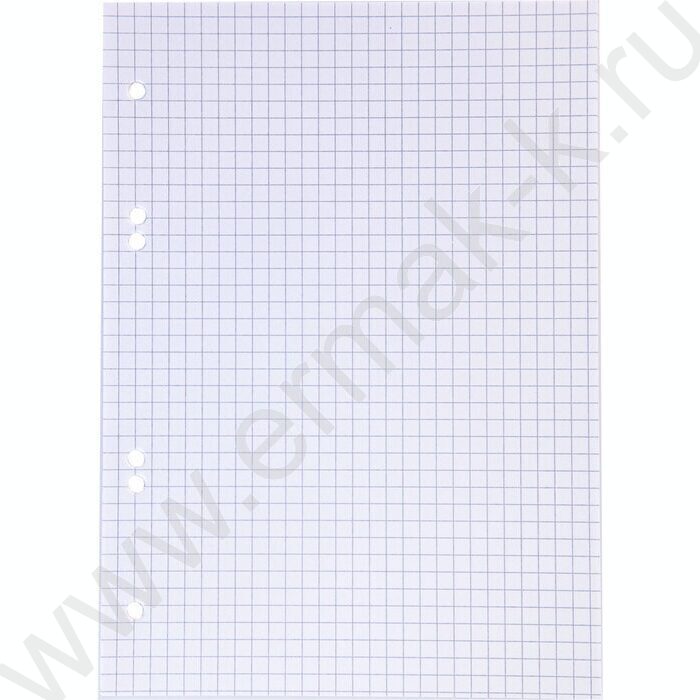 Сменный блок А5  40л  6 отверстий,80г/кв.м клетка NEWtone PASTEL Мята | Фото 2