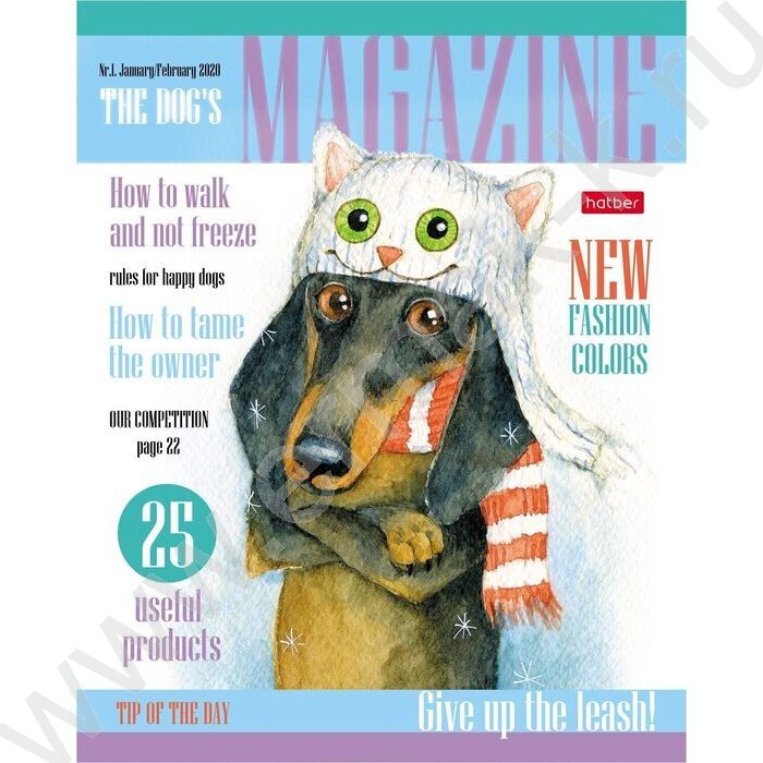 Тетрадь  40л клетка "ТаксаLIFE" ассорти | Фото 4