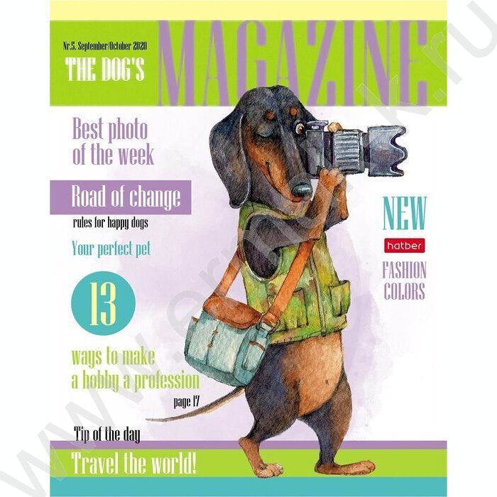 Тетрадь  40л клетка "ТаксаLIFE" ассорти | Фото 5